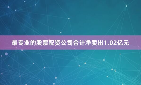 最专业的股票配资公司合计净卖出1.02亿元