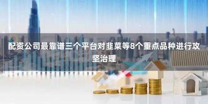配资公司最靠谱三个平台对韭菜等8个重点品种进行攻坚治理