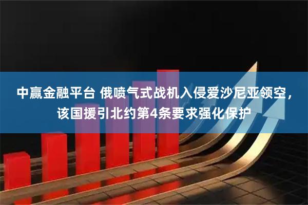 中赢金融平台 俄喷气式战机入侵爱沙尼亚领空，该国援引北约第4条要求强化保护