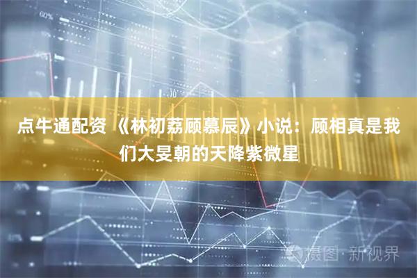 点牛通配资 《林初荔顾慕辰》小说：顾相真是我们大旻朝的天降紫微星