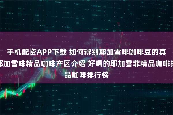 手机配资APP下载 如何辨别耶加雪啡咖啡豆的真假？耶加雪啡精品咖啡产区介绍 好喝的耶加雪菲精品咖啡排行榜